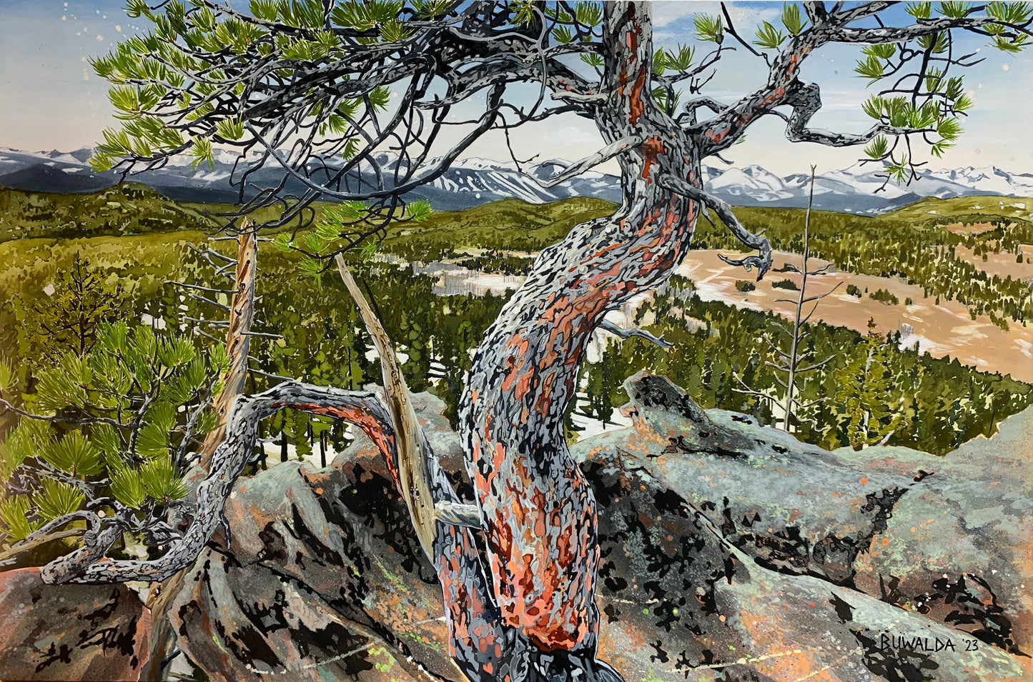 Original Painting "Eldora" , 2023, 24"x36", Acrylic ink on stretched 140lb Arches. $3,900 SOLD