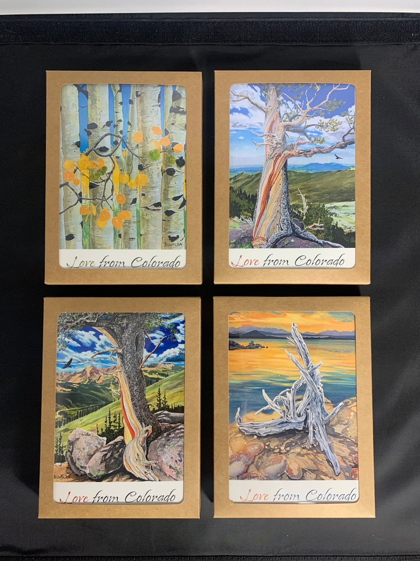 CARDS-4 SET ART CARDS -- "Colorado Love Series" FREE SHIPPING