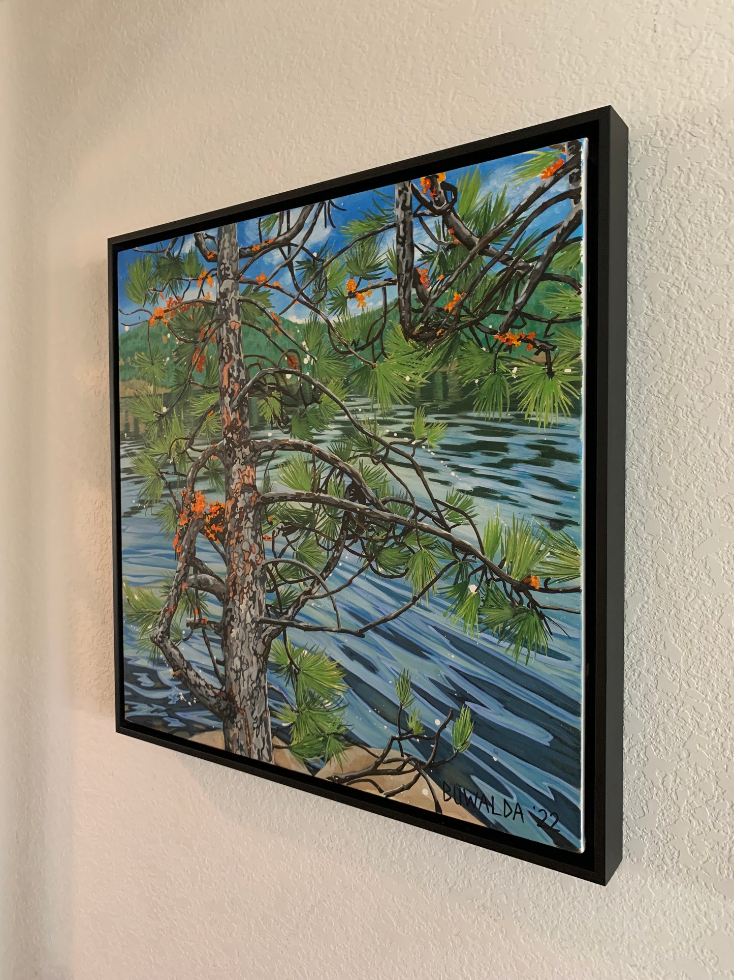 Original Painting, "Concealed", 'Shelter-Wood' Series 2022 $2,100 SOLD