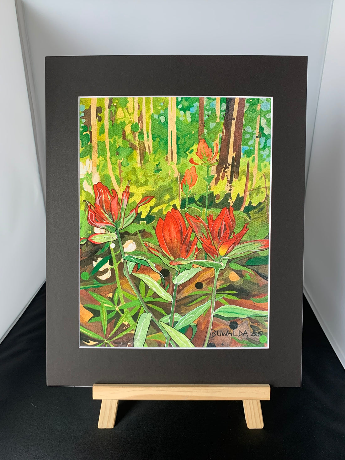 On The Art Trail with Peter Buwalda :  Colorado Wildflower Field work