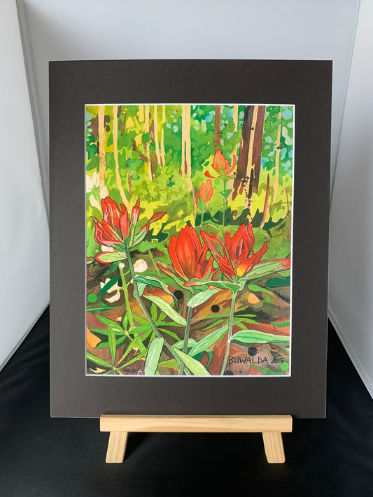 On The Art Trail with Peter Buwalda :  Colorado Wildflower Field work