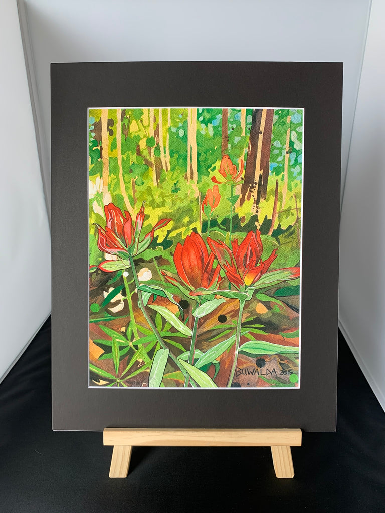 On The Art Trail with Peter Buwalda :  Colorado Wildflower Field work