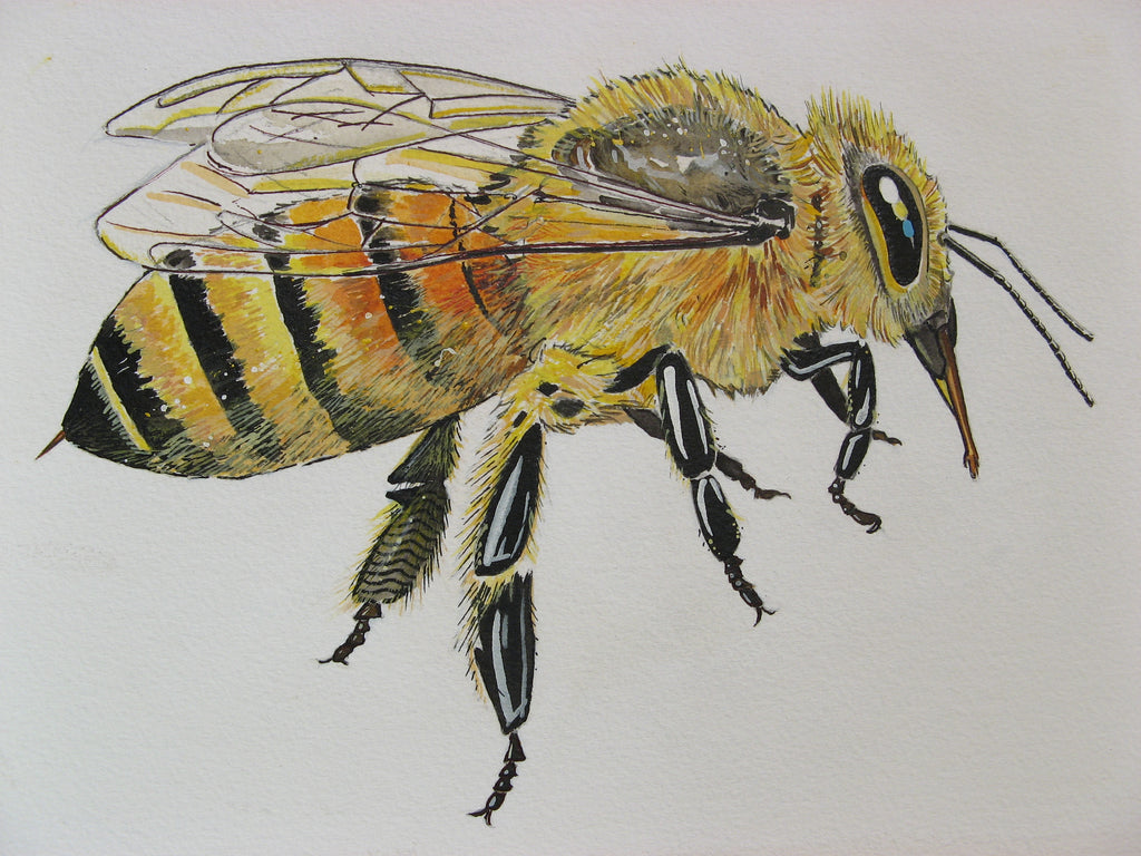 On The Art Trail with Peter Buwalda; "For the Love of Honeybees #1, Girls Rule!"
