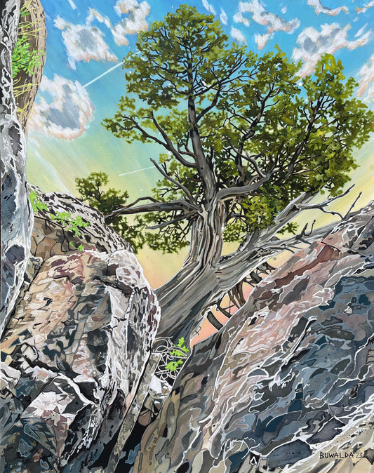 Giclee Print "Ascending" 14.5"x18.5"