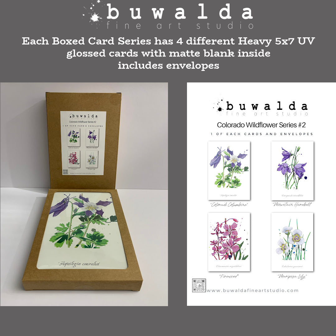 CARDS-4 SET ART CARDS -- "Colorado Wildflowers Series #2" FREE SHIPPING