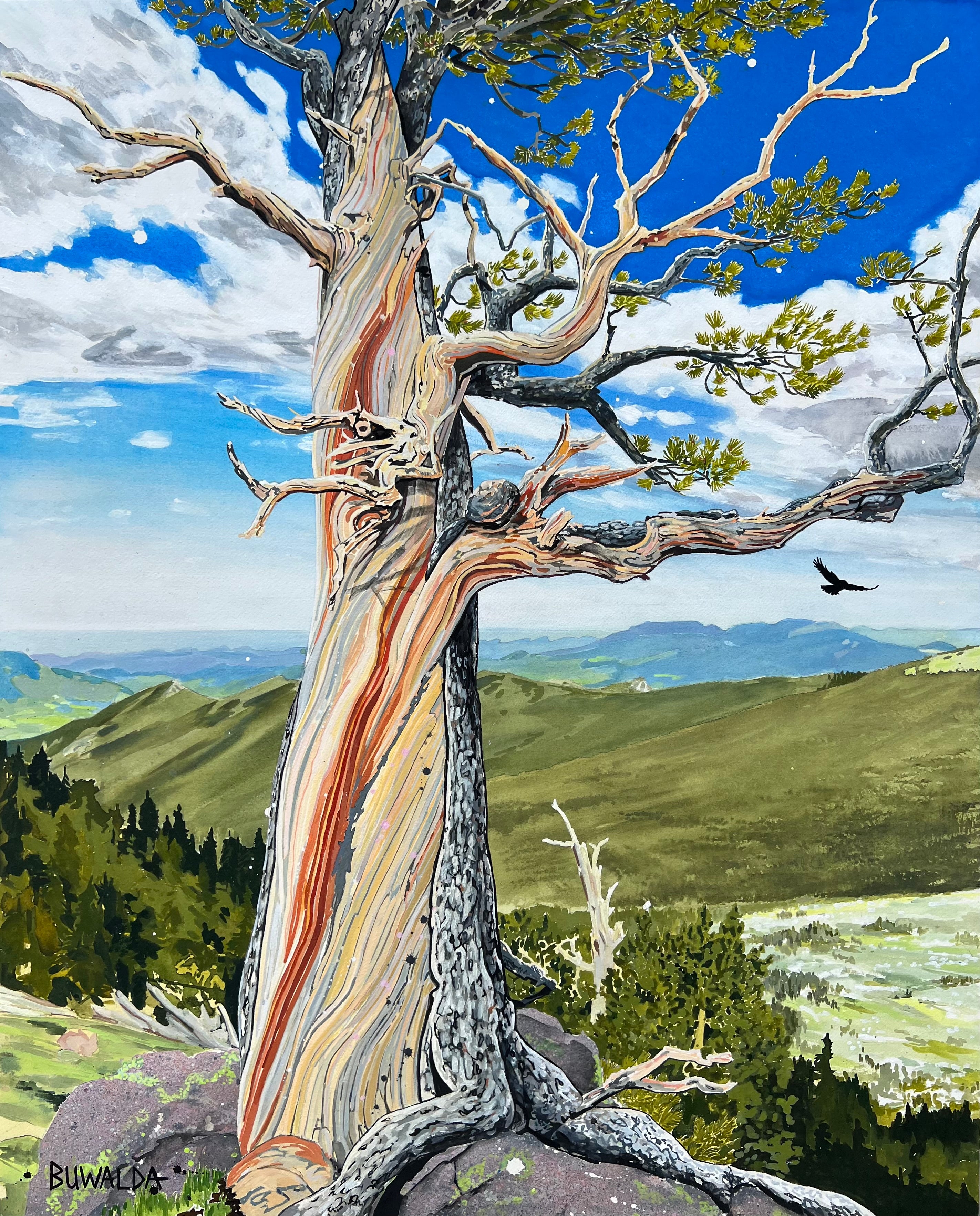 Original Painting, "Bristlecone #1", Acrylic Ink on Stretched and Mounted Arches 24"x30"