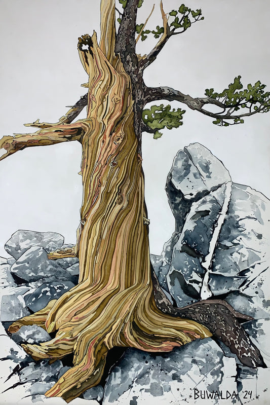 Original Painting, "Fog", Acrylic Ink on Stretched and Mounted Arches 24"x36" $3900 SOLD