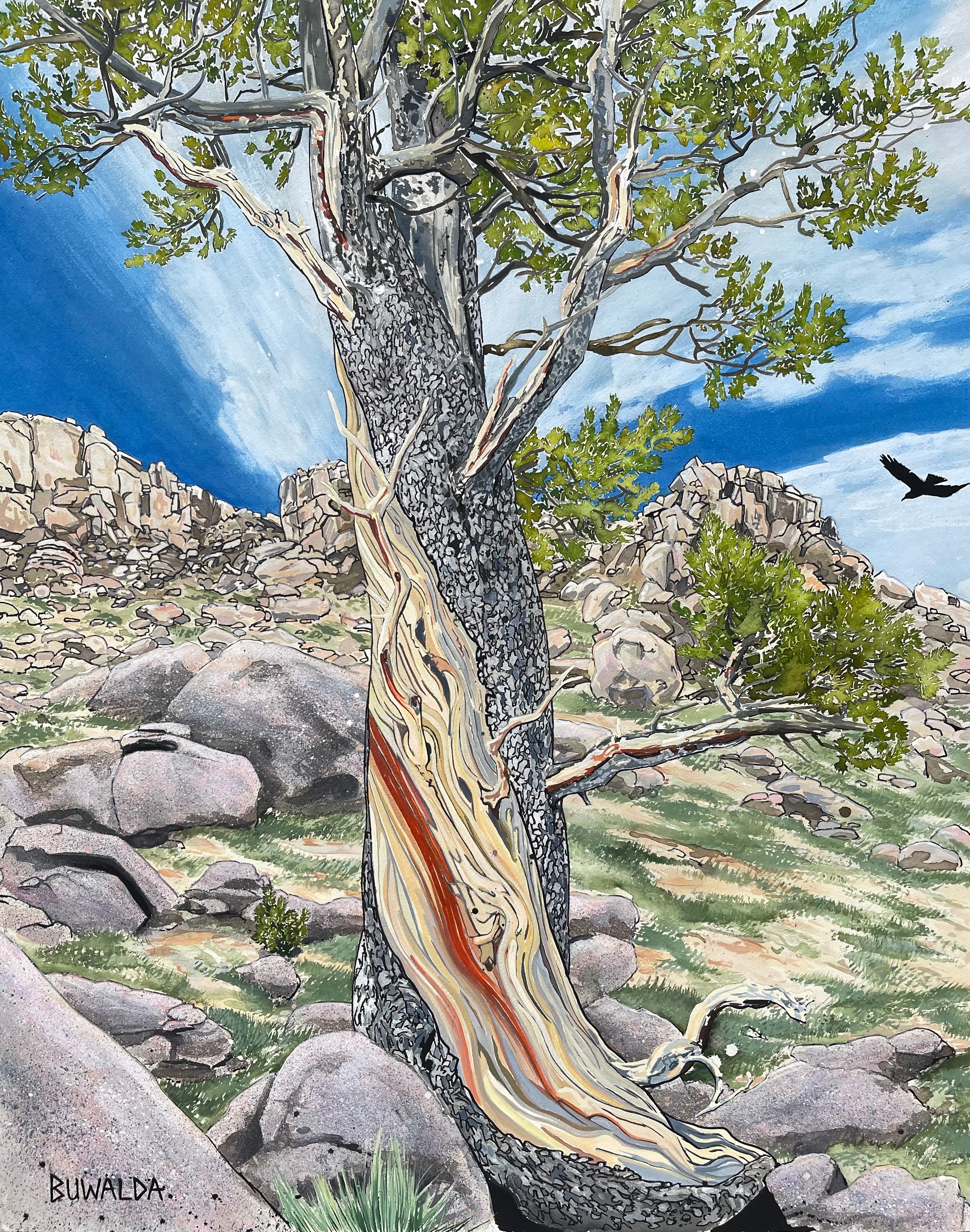 Original Painting, "Bristlecone #3", Acrylic Ink on Stretched and Mounted Arches 24"x30"