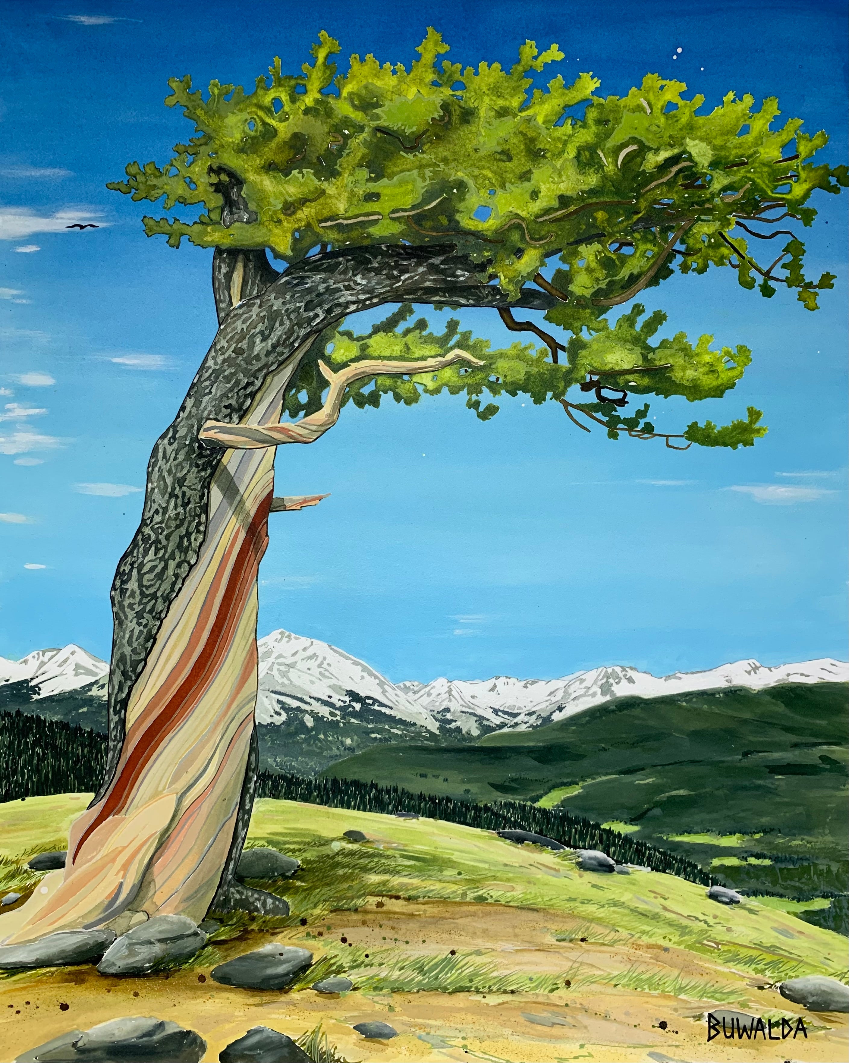 Original Painting, "Bristlecone #4", Acrylic Ink on Stretched and Mounted Arches 24"x30" Christmas Sale Price