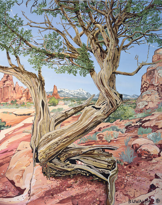Giclee Print "Sierra La Sal" 14.5"x18.5"