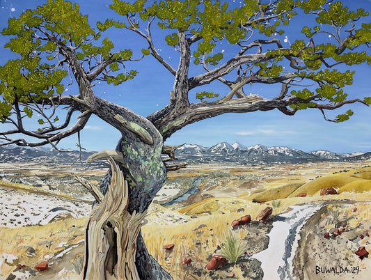Original Painting, "Westerly", 2024 Acrylic Ink on Stretched and Mounted Arches 40"x30" $5000 SOLD