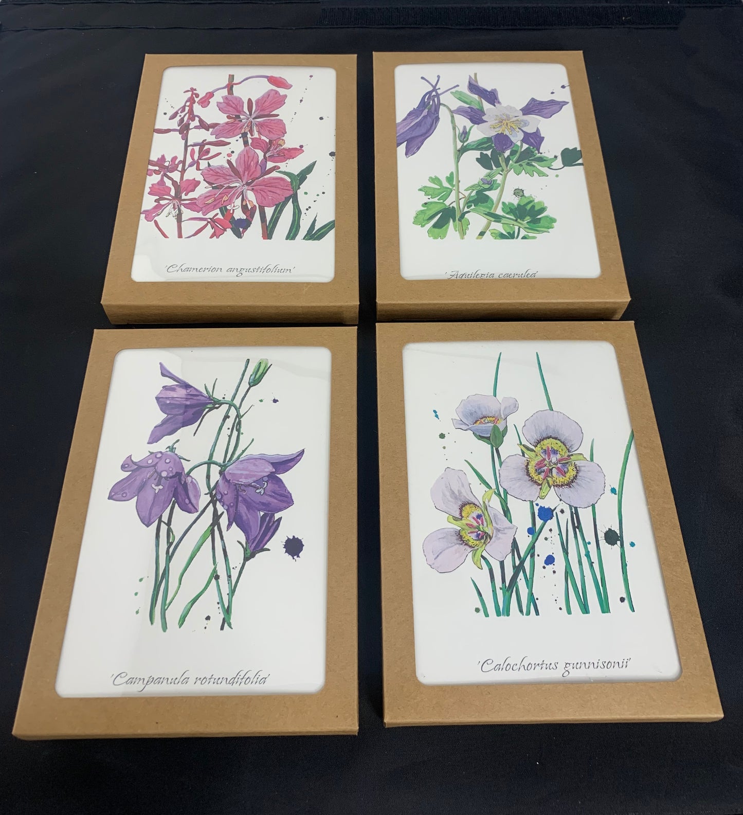 CARDS-4 SET ART CARDS -- "Colorado Wildflowers Series #2" FREE SHIPPING