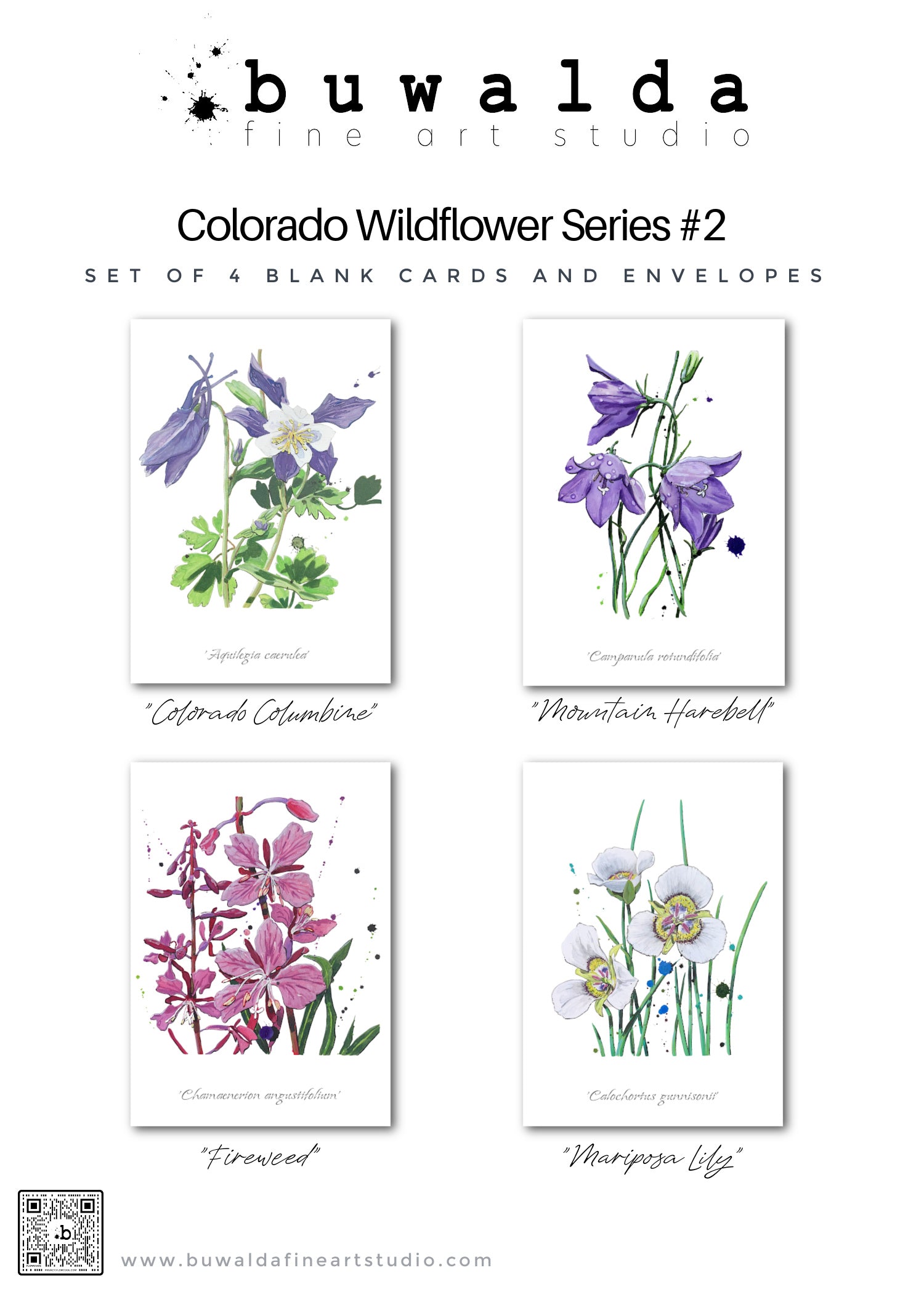 CARDS-4 SET ART CARDS -- "Colorado Wildflowers Series #2" FREE SHIPPING