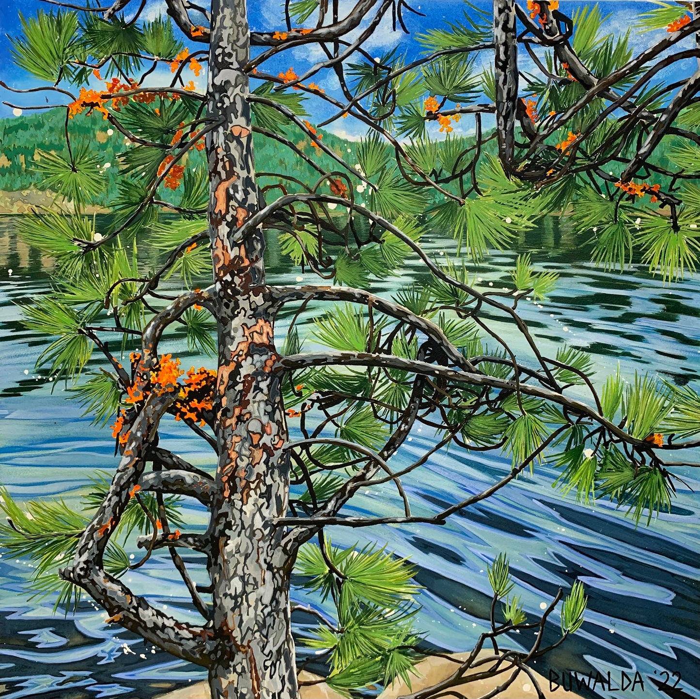 Original Painting, "Concealed",  'Shelter-Wood' Series 2022 $2,100 SOLD