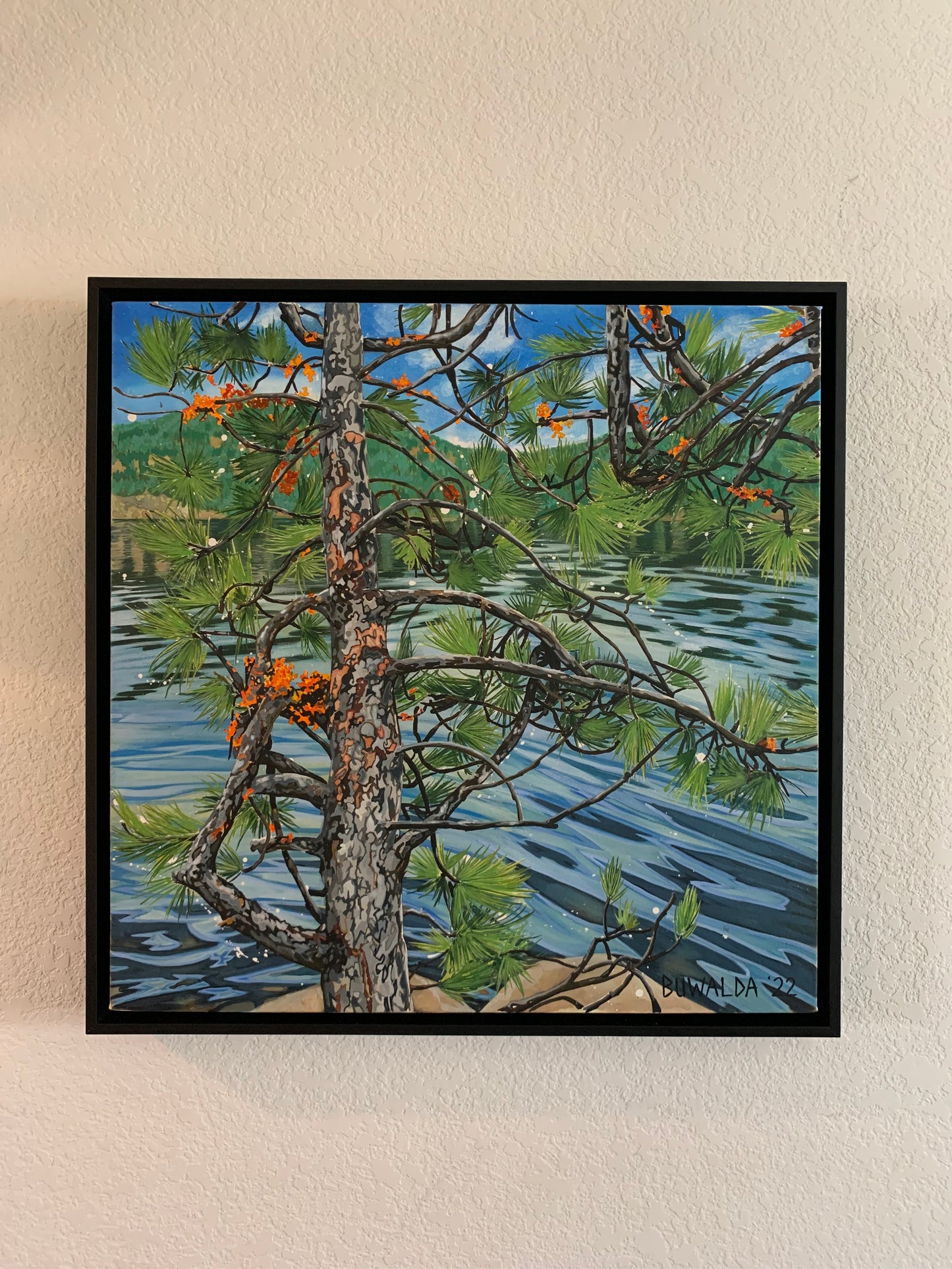 Original Painting, "Concealed",  'Shelter-Wood' Series 2022 $2,100 SOLD