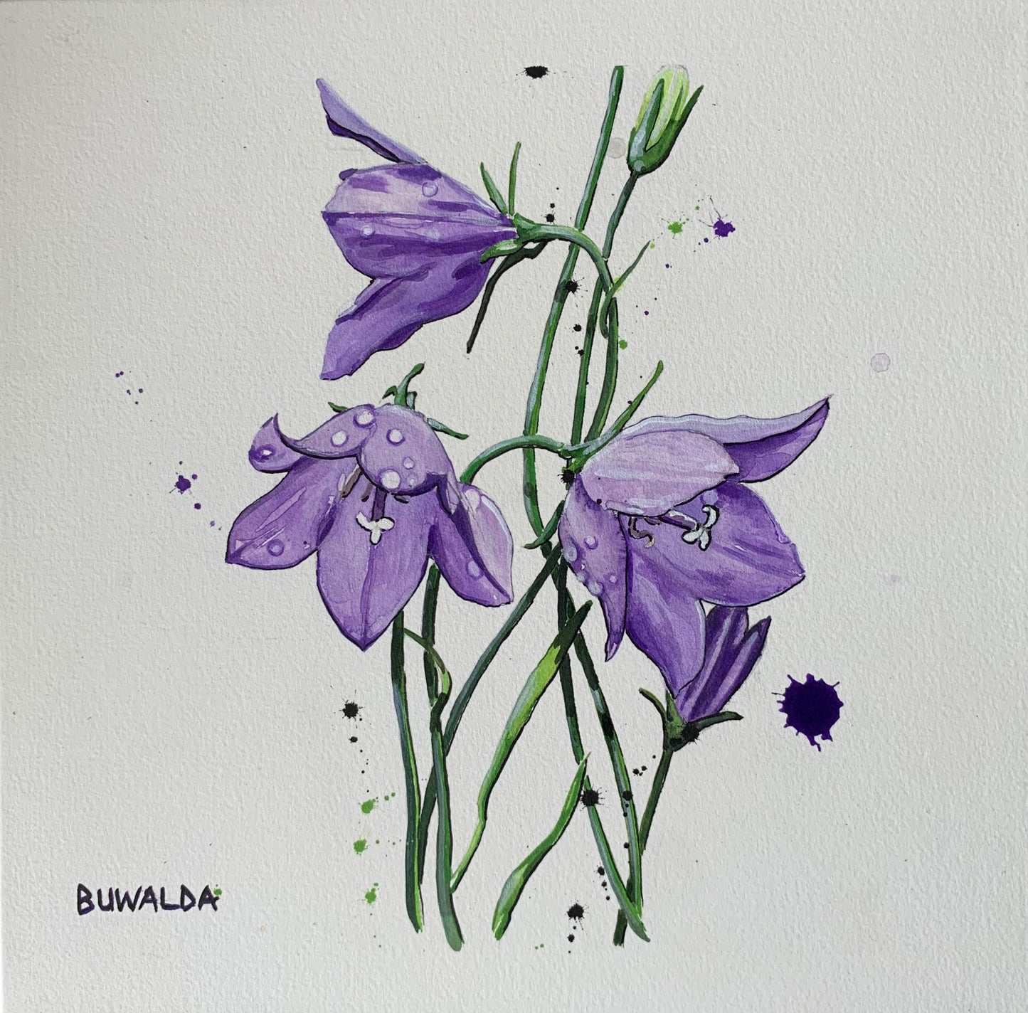 Original Painting, "Mountain Harebell", Colorado Wildflowers Series #2, 2022 SOLD