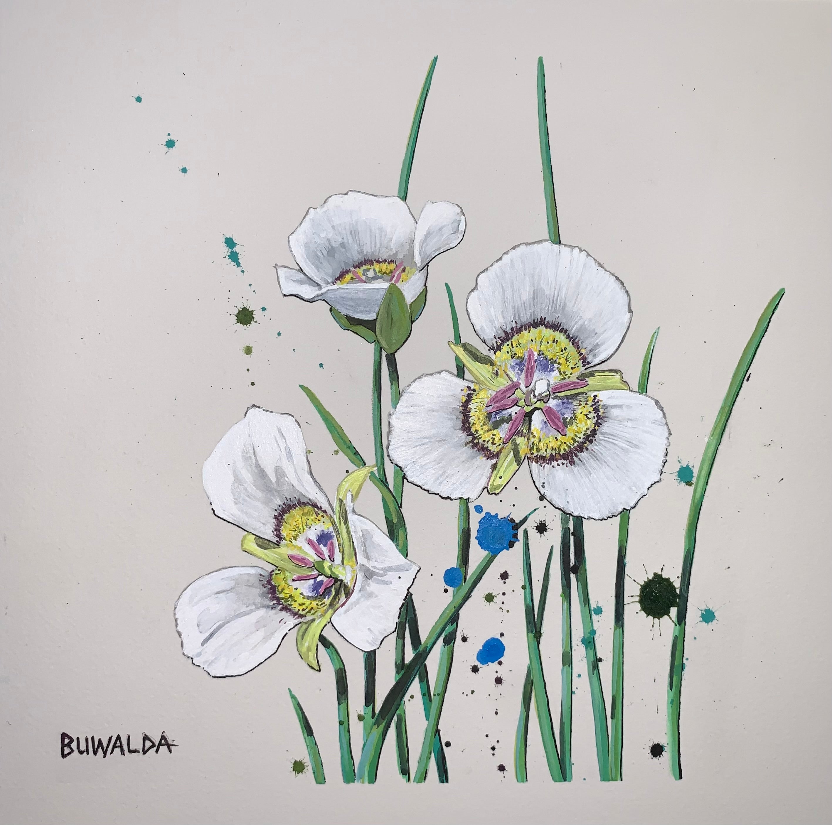 Original Painting, "Mariposa Lily", Colorado Wildflowers Series #2, 2022 SOLD