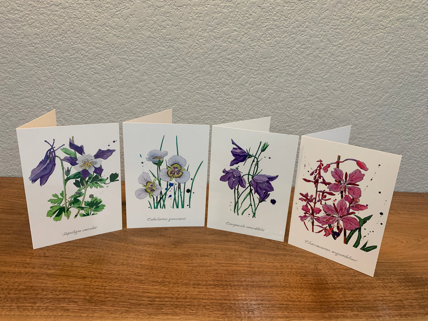 CARDS-4 SET ART CARDS -- "Colorado Wildflowers Series #2" FREE SHIPPING