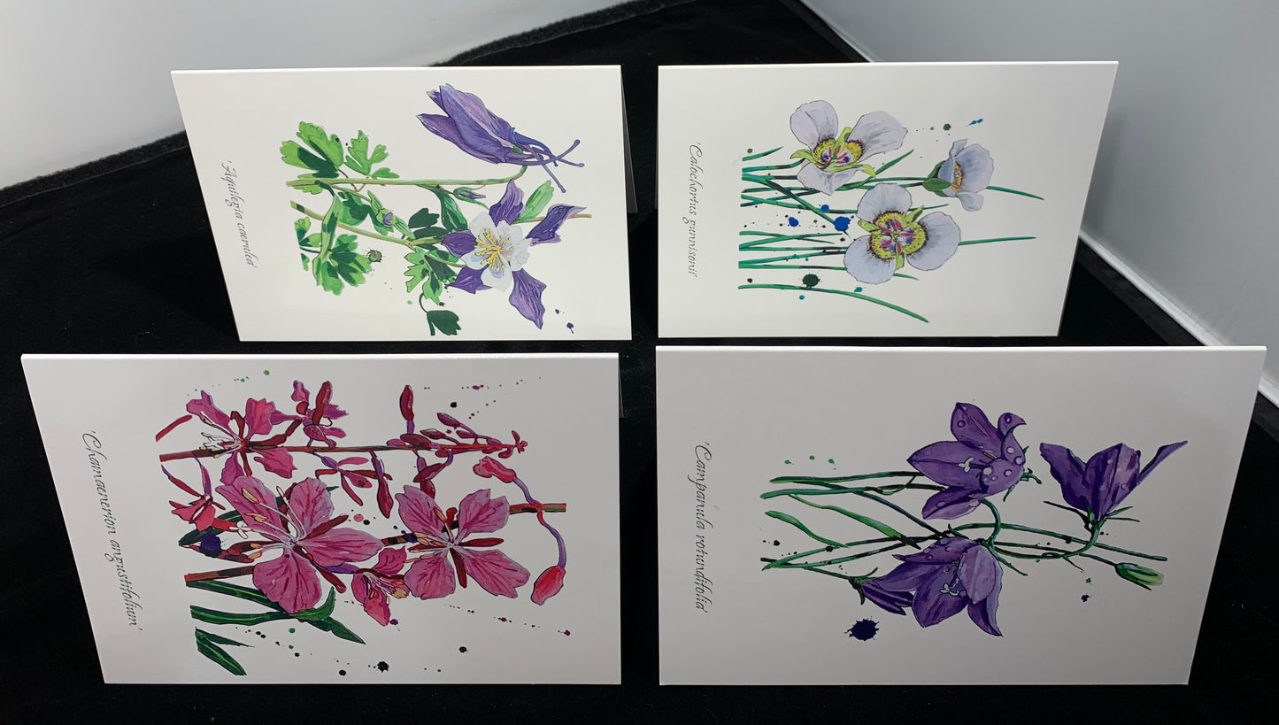 CARDS-4 SET ART CARDS -- "Colorado Wildflowers Series #2" FREE SHIPPING