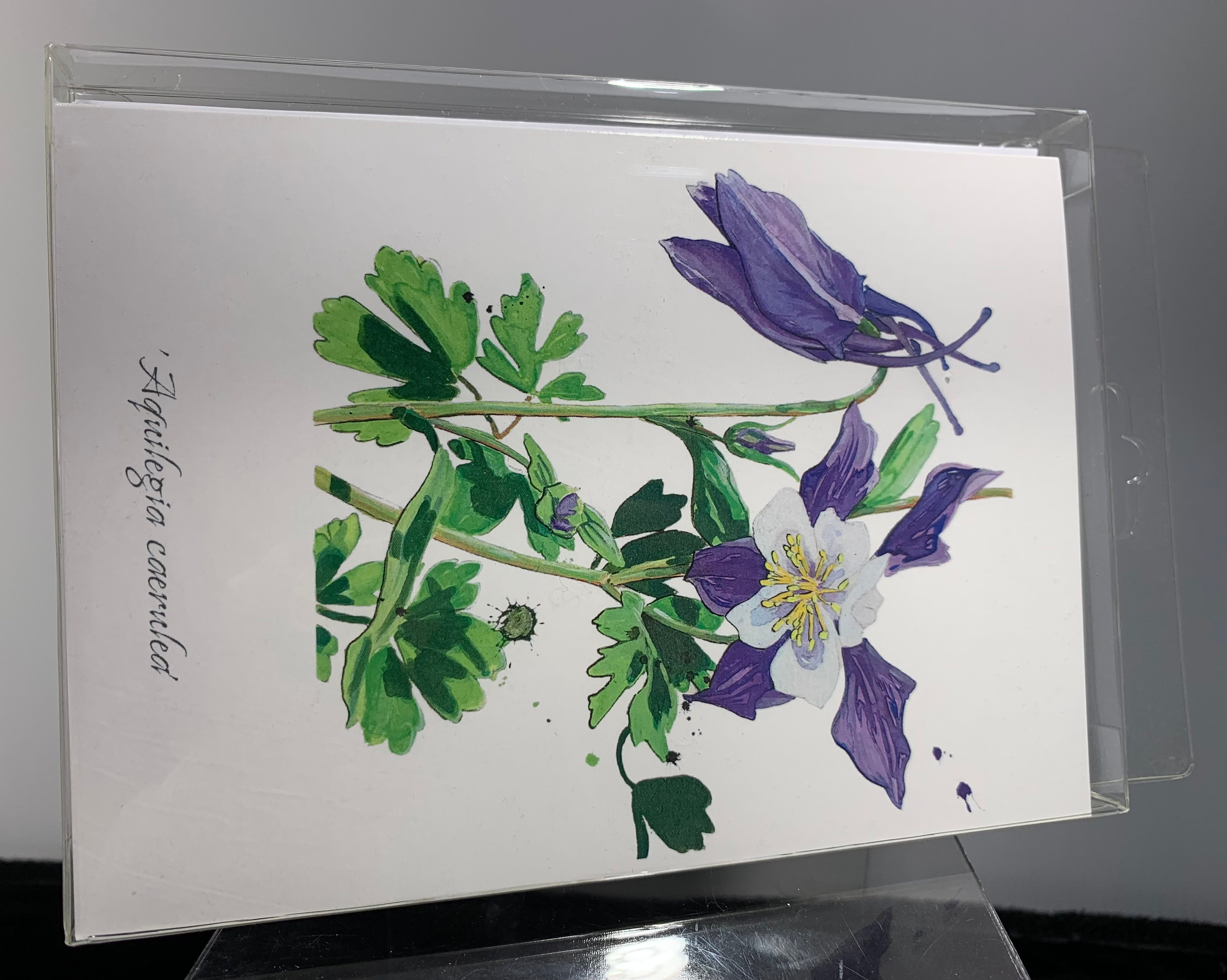 CARDS-4 SET ART CARDS -- "Colorado Wildflowers Series #2" FREE SHIPPING