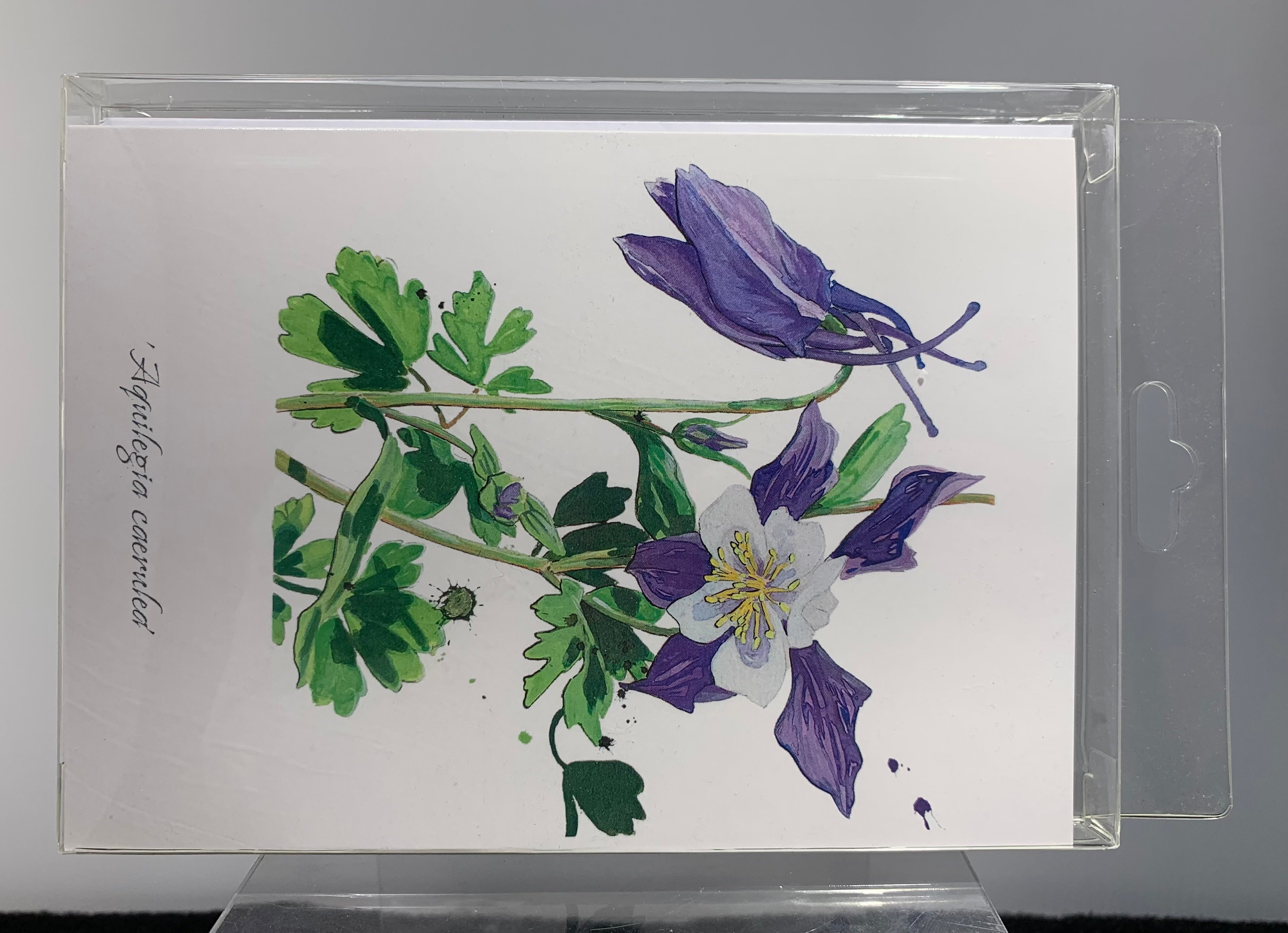 CARDS-4 SET ART CARDS -- "Colorado Wildflowers Series #2" FREE SHIPPING