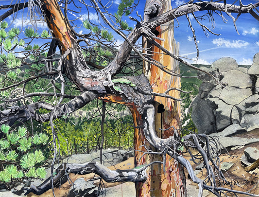 Original Painting Acrylic Ink on Stretched Watercolor Paper "Ponderosa", 40"x30", 'Shelter-Wood' Series 2022 $4000 SOLD