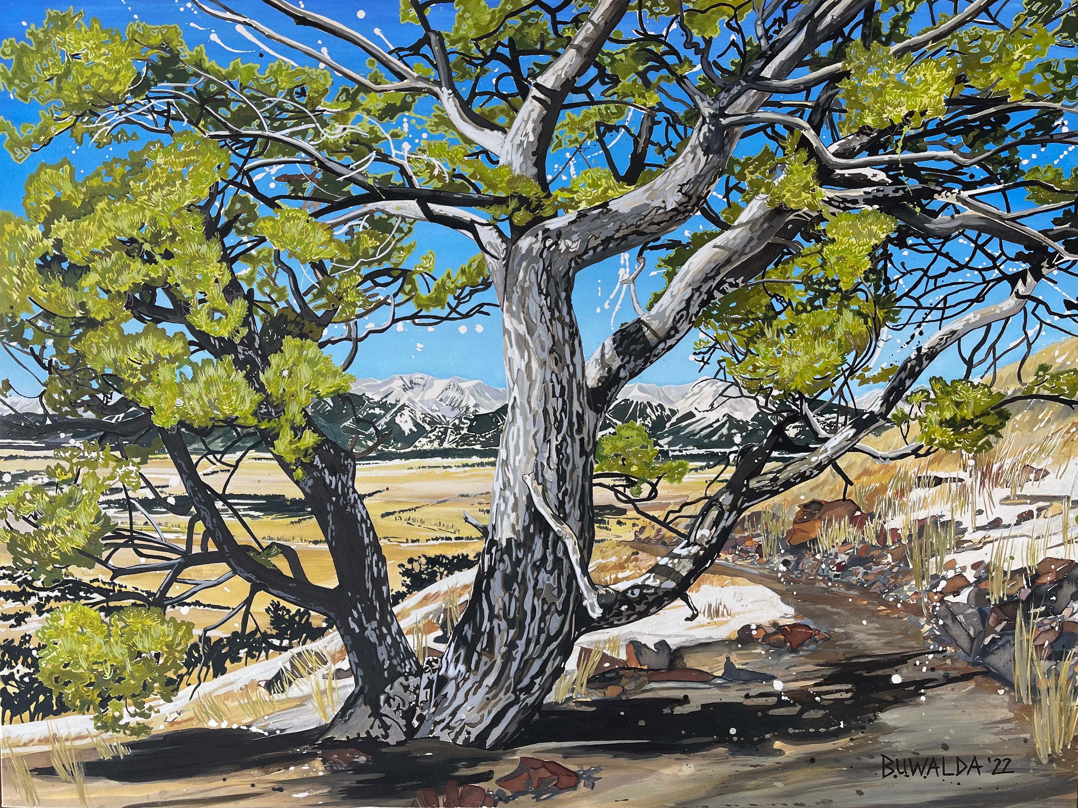 Original Painting Acrylic Ink on Stretched Watercolor Paper "Pinyon", 40"x30", 'Shelter-Wood' Series 2022 $4,000 SOLD